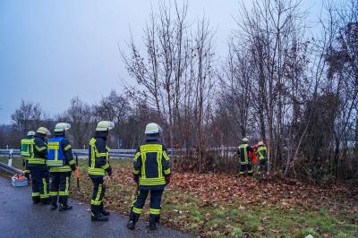 A81/Moeglingen: Golf rast im Abfahrtsbereich in ein Gebuesch